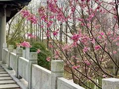 -梁鸿国家湿地公园