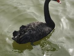 -南大港湿地风景区