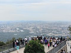 -紫金山山顶公园