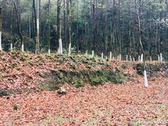 -仙霞关景区