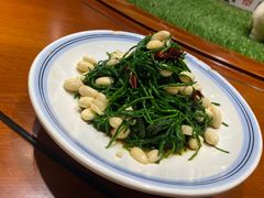 -老阿妈蒙古村·蒙古包·草原文化·歌舞表演(老君堂店)