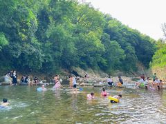 -北仑森林植物园