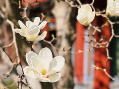 -北京鲁迅博物馆(北京新文化运动纪念馆鲁博馆区)
