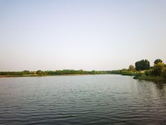 -东郊湿地公园