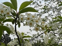 -国家植物园南园