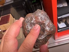 -志强陨石馆(双季花艺店)