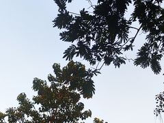 -达活泉公园