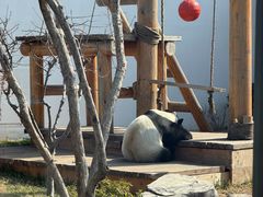 -无锡动物园·太湖欢乐园