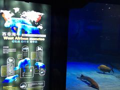 -烟台海昌鲸鲨海洋公园