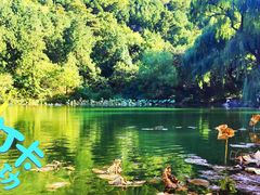 -北京西山国家森林公园