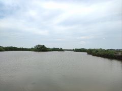-盐城丹顶鹤湿地生态旅游区