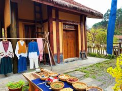 -黄龙溪欢乐田园