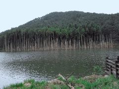 -明月山天沐温泉度假村