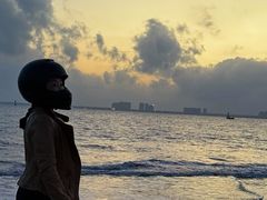 -东郊椰林