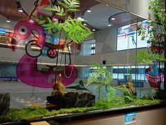 -吉庆莲年有鱼炭烤鱼(苏宁广场店)