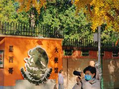 -三里屯东五街银杏大道