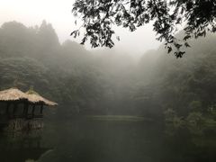 -阿里山神木遗迹