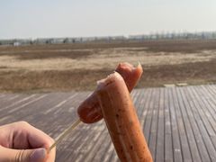 -盐城丹顶鹤湿地生态旅游区