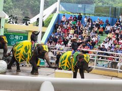 -大连森林动物园