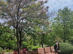 -东莞植物园