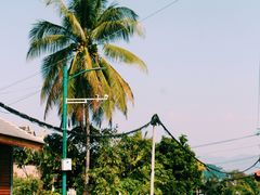-西双版纳傣族园