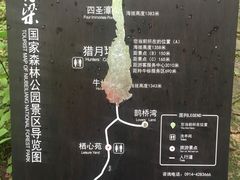 -牛背梁国家森林公园