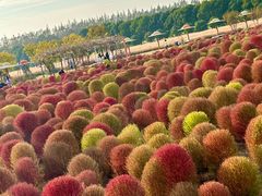 -嘉北郊野公园