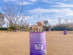 -上海崇明金茂凯悦酒店