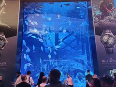 -迪拜水族馆及水下动物园