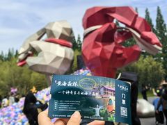 -黄海国家森林公园