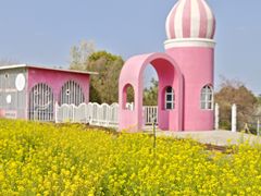 -名花谷生态庄园