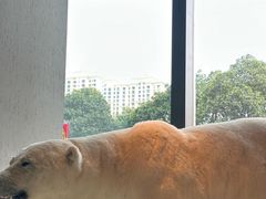 -魏客咖啡(中铁中心店)