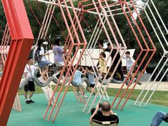 -苏州太湖西山岛开心农场
