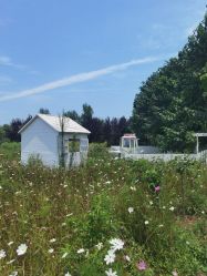 -DORA kids 朵拉儿童摄影花园店