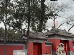 -清真·白记年糕(牛街北口店)