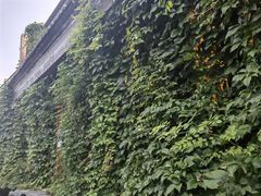 -五道营胡同