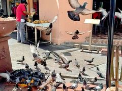 -槟城街头艺术街区