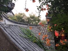 -台儿庄古城