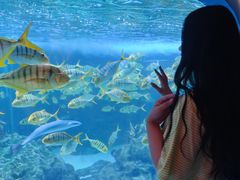 -海合安成都极地海洋公园