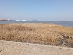 -郑和公园