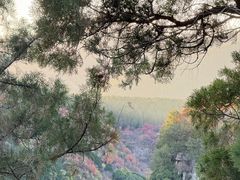 -龙洞风景区-藏龙涧