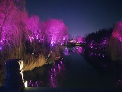-金春禧(英雄山路旗舰店)