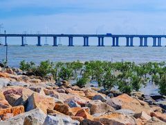 -宝安西湾红树林湿地公园