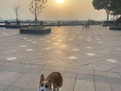 -合肥滨湖国家森林公园