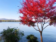 -浙江西子宾馆·牡丹厅
