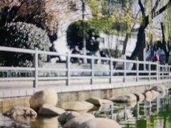 -莲湖公园