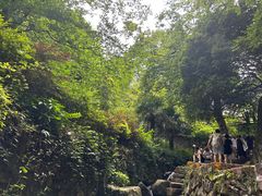 -莫干山风景区