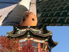 -青岛海滨风景区