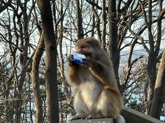 -南湾湖