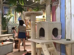 -小时光咖啡馆(开森度假森林店)
